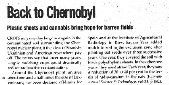 hemp chernobyl article 550x276